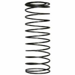 Franklin Check Valve Spring